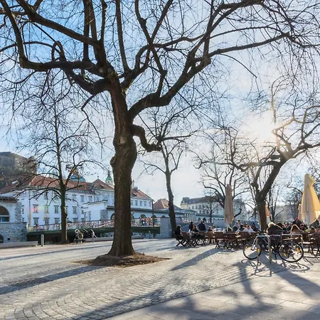 Old Town Ground Floor 아파트 류블랴나